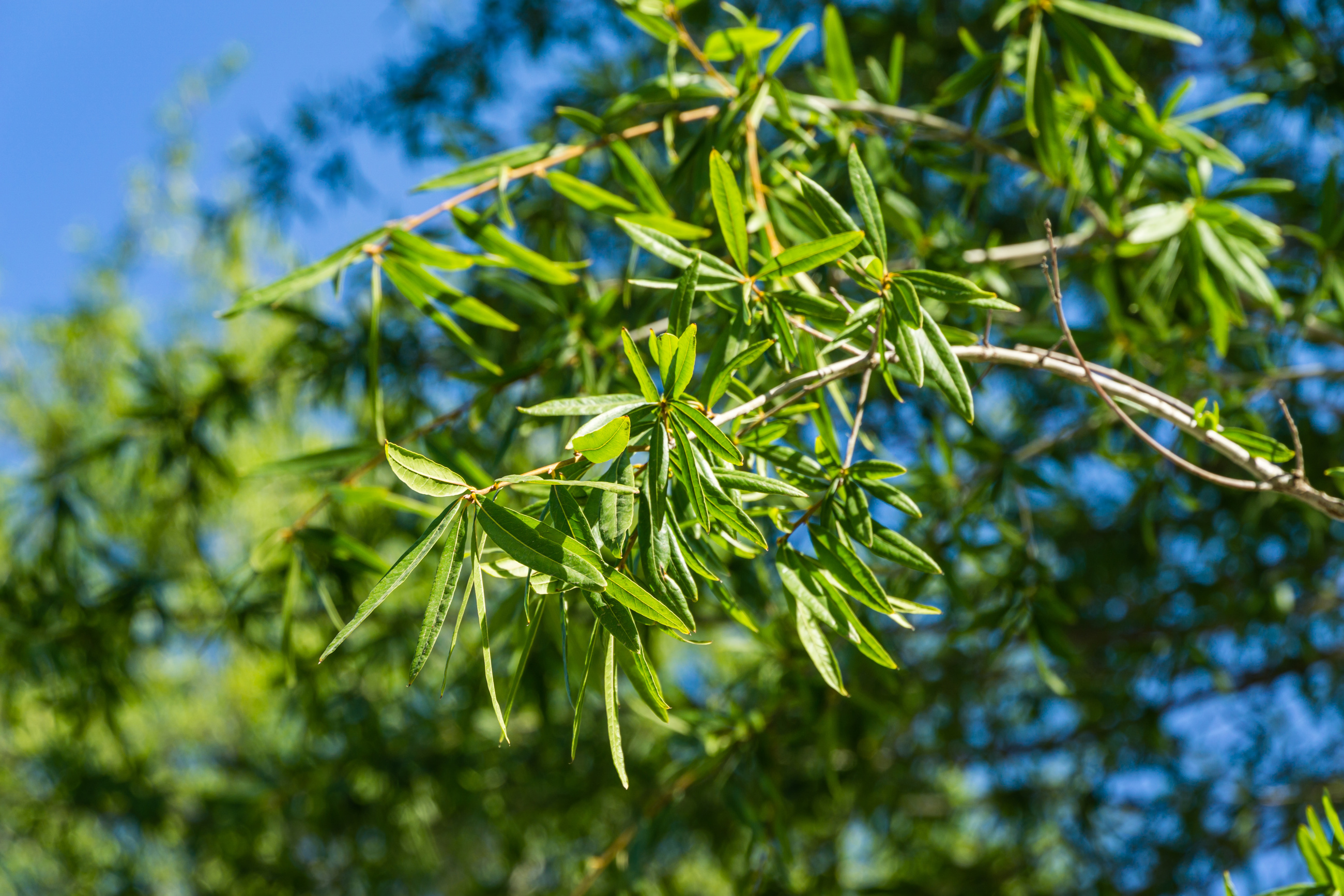 Adobestock 385747079