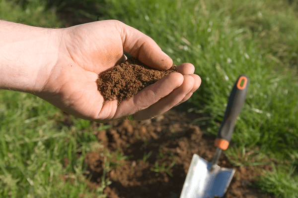 Soil Salinity