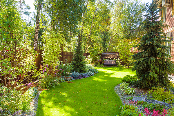 Will Pine Tree Roots Damage A Foundation