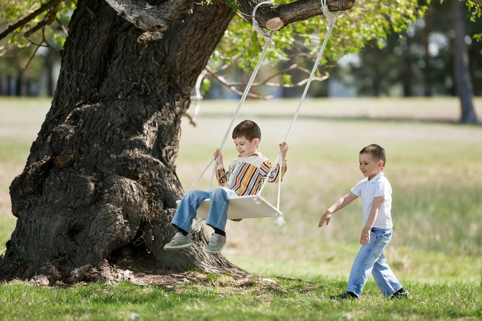 Blog Davey Tree Swings