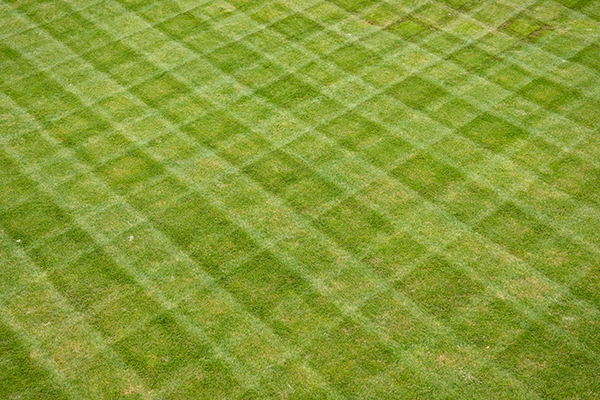 Mowing