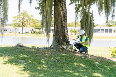 Residential Hp Certified Arborists 640X426 Covid