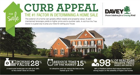 Curb Appeal