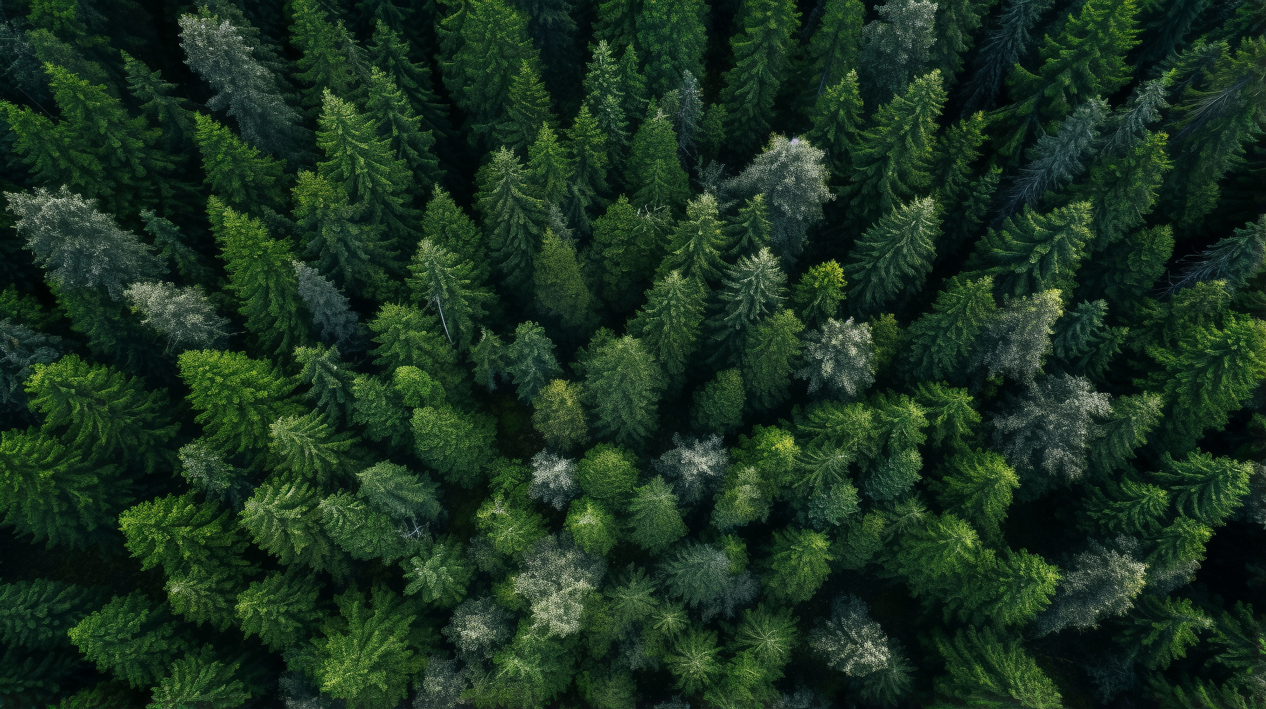 Adobestock 639872042