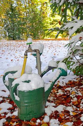 Watering Newly Or Established Trees In Winter Davey Tree