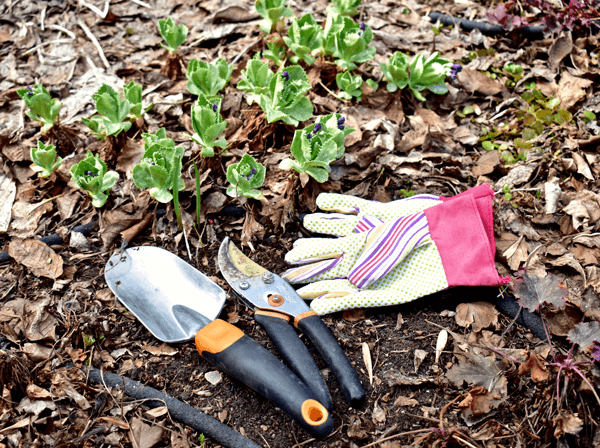 How To Cleanup Your Landscape After A Snowy Winter