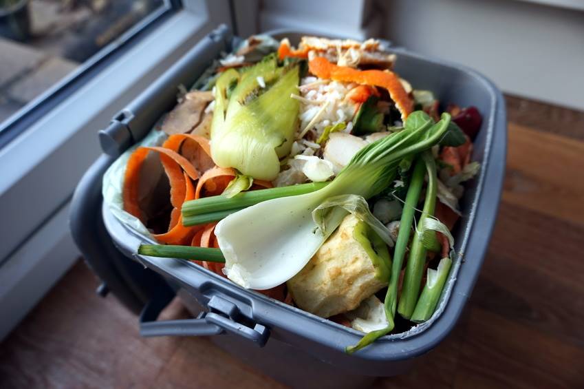 Kitchen Compost Pile