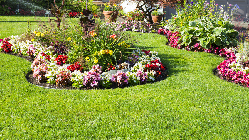 Flowerbed Stock
