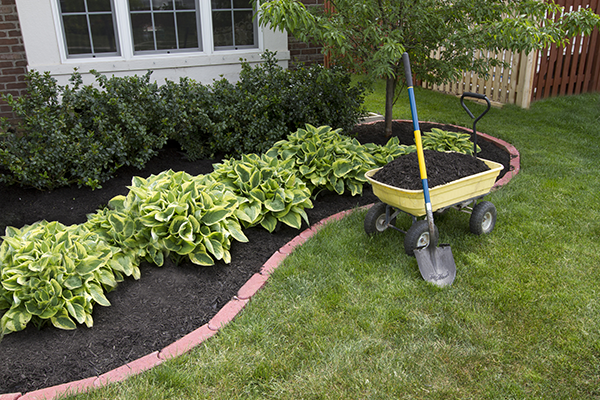 Mulch 2