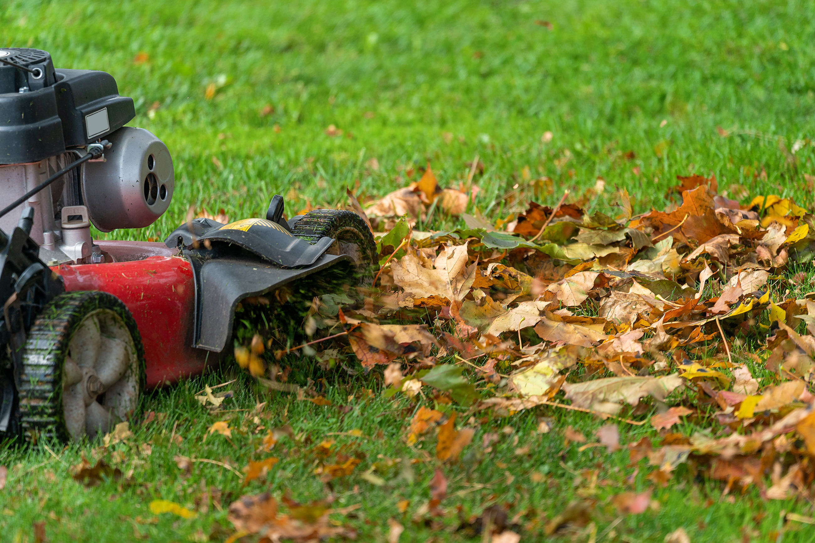 Mowing Over Leaves