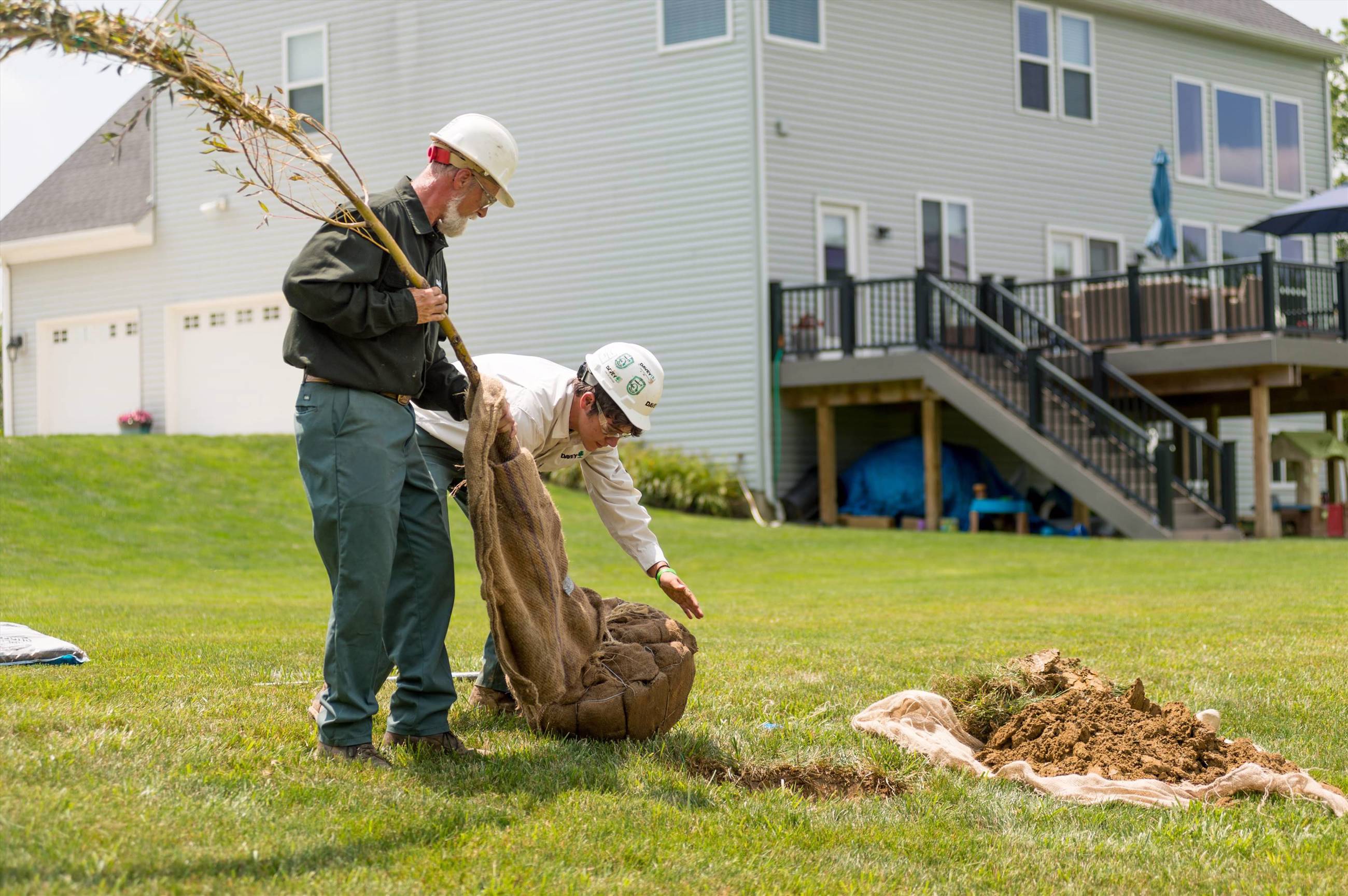How Much Does It Cost For A Professional Landscaper To Plant A Tree Davey Tree