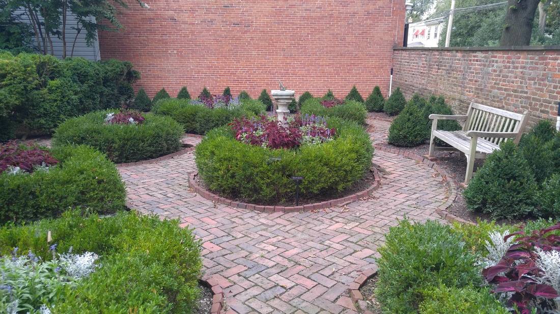 Arasapha Garden Club