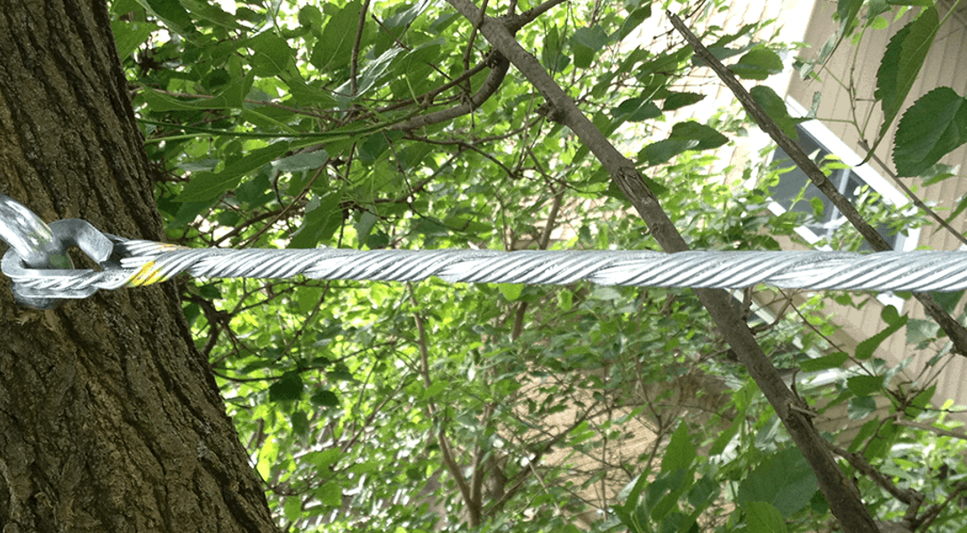 Tree Cabling Bracing Banner 1440X500