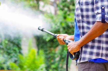 Pressure Washer On Tree Davey Tree