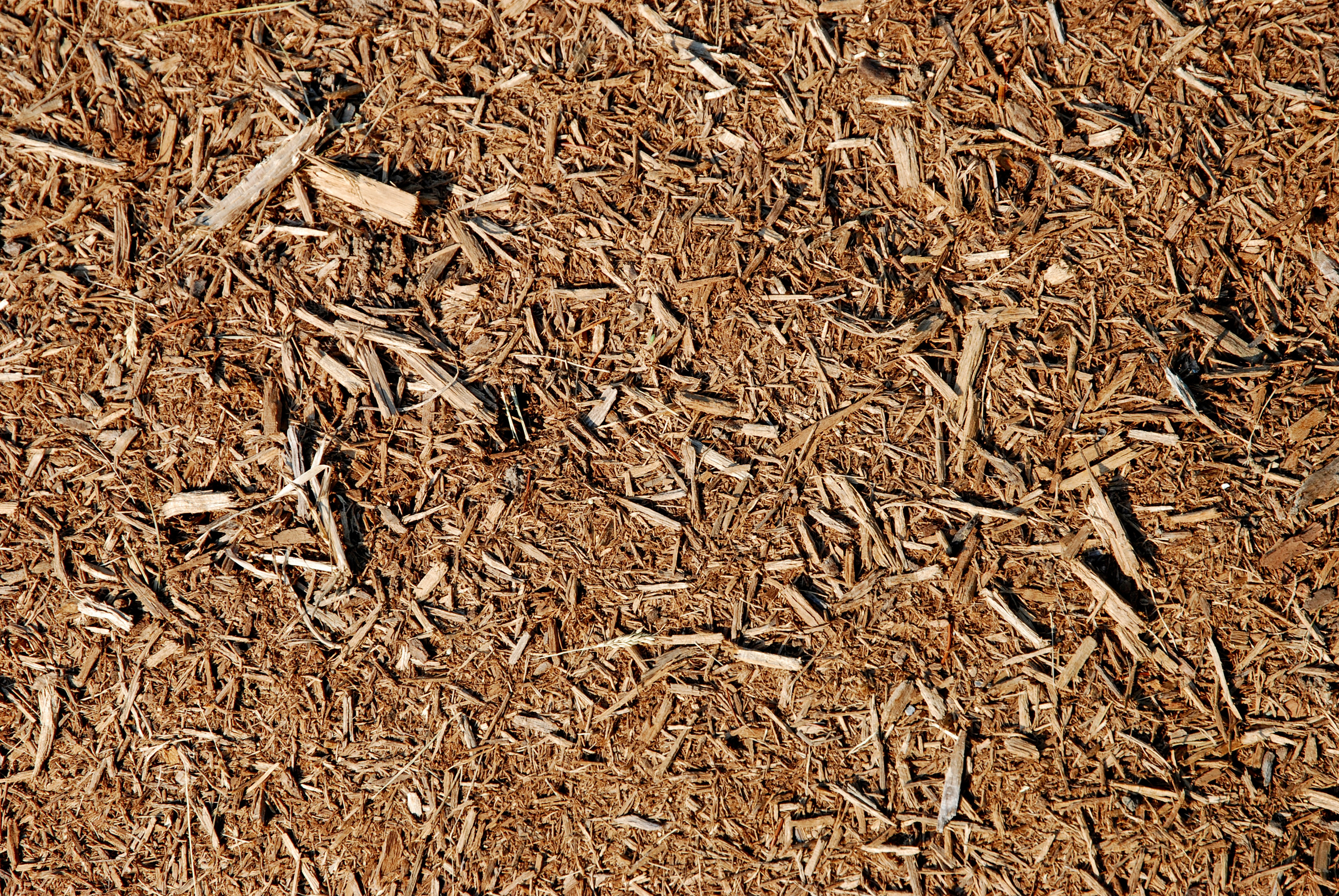 Cypress Mulch