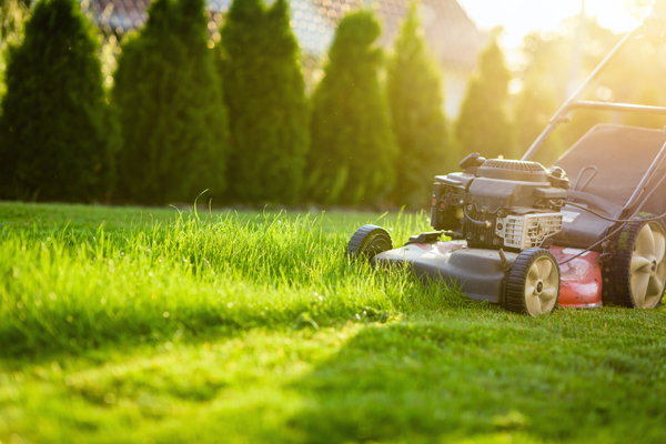 Mowing Stock