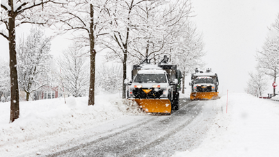Winter Tree Care Winter Rock Salt