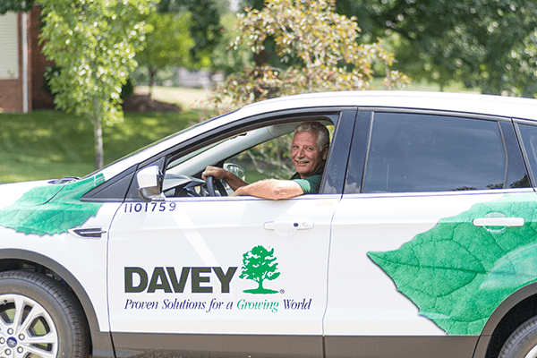 Benefits Of Hiring Certified Arborist
