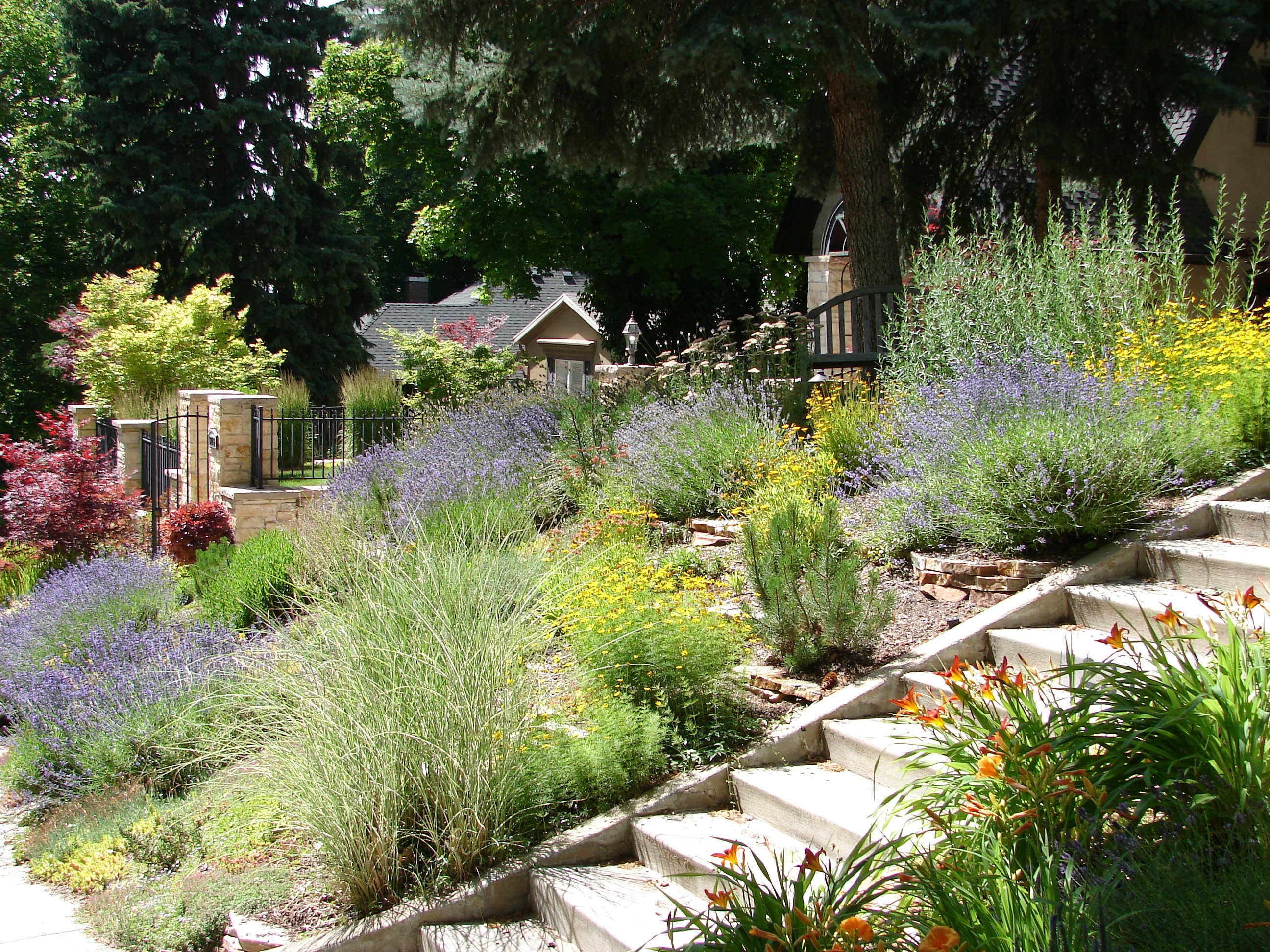 Drought Landscape