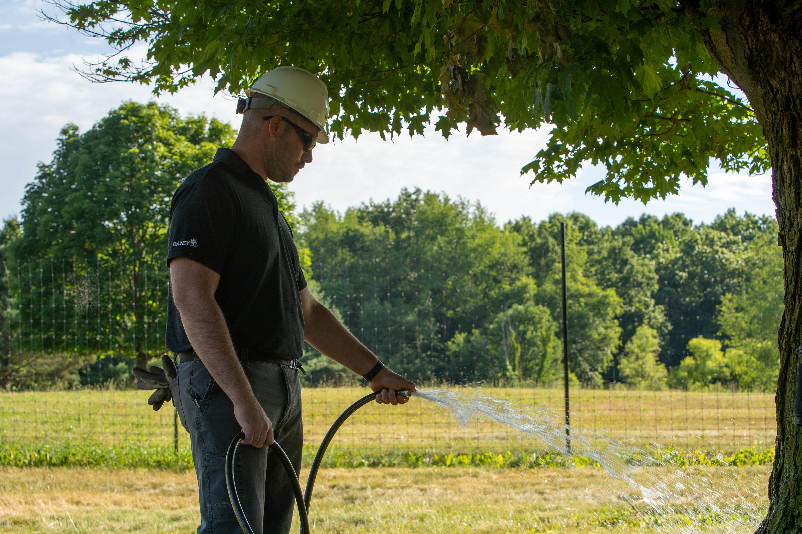 watering with hose