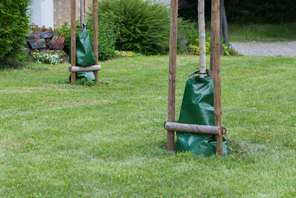 Tree Watering Bag Stock