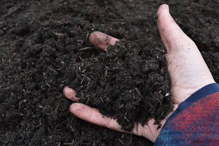 Soil Preparation Steps