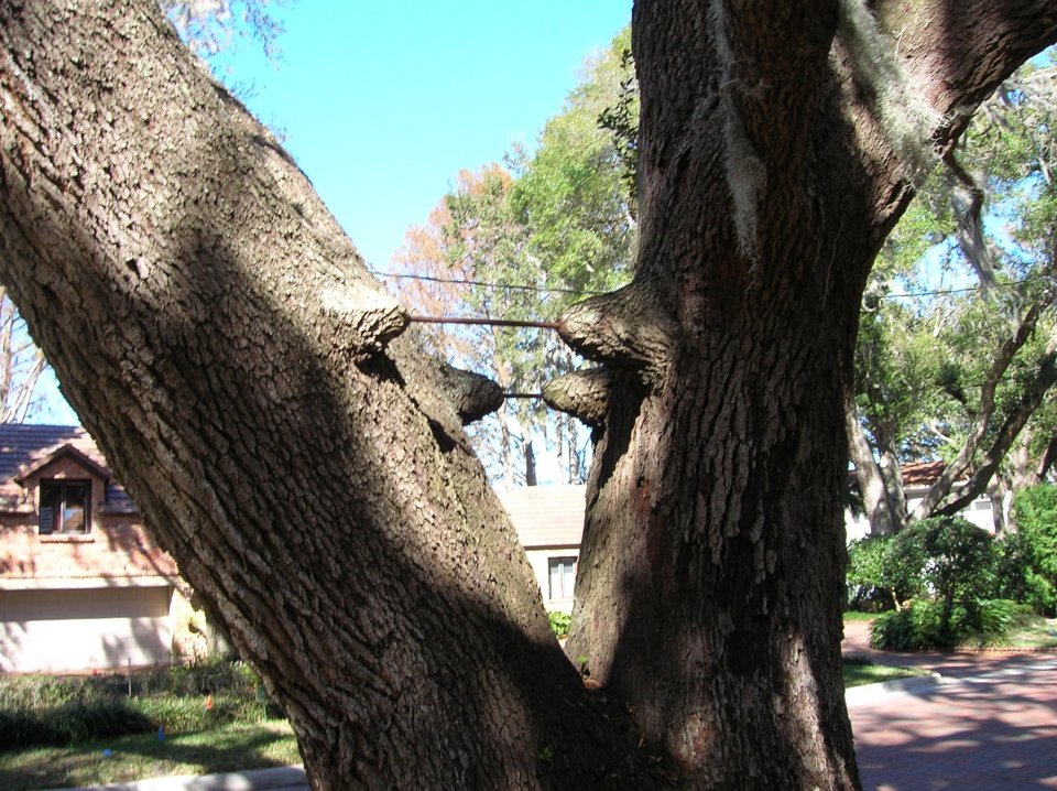 Bracing (1)