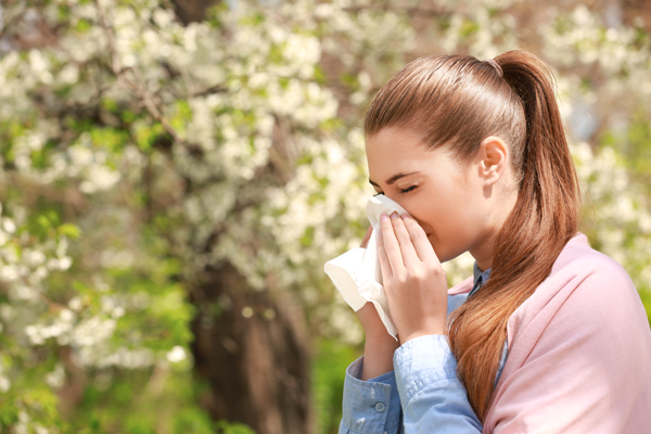 Best Trees For Allergies