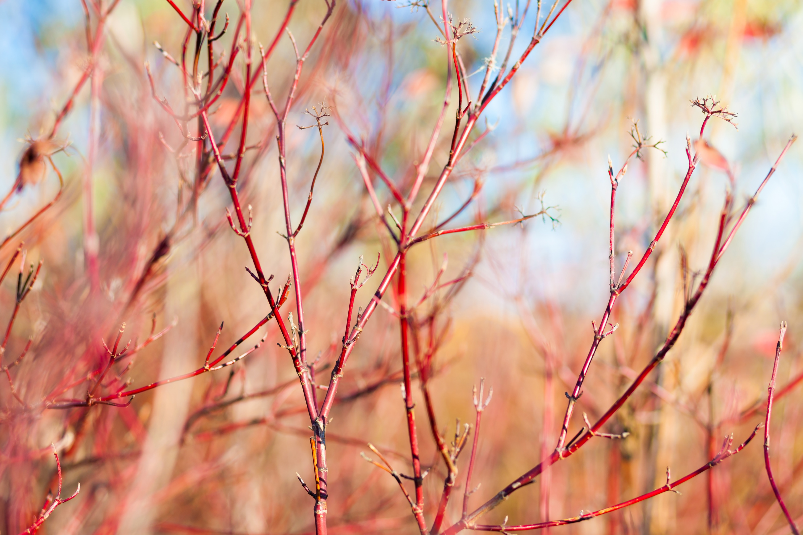 Adobestock 72113886