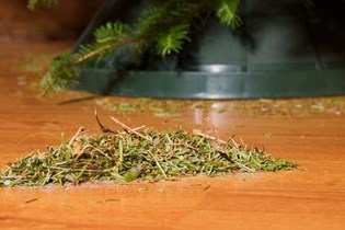Stop Needles From Falling Off Christmas Tree Davey Tree
