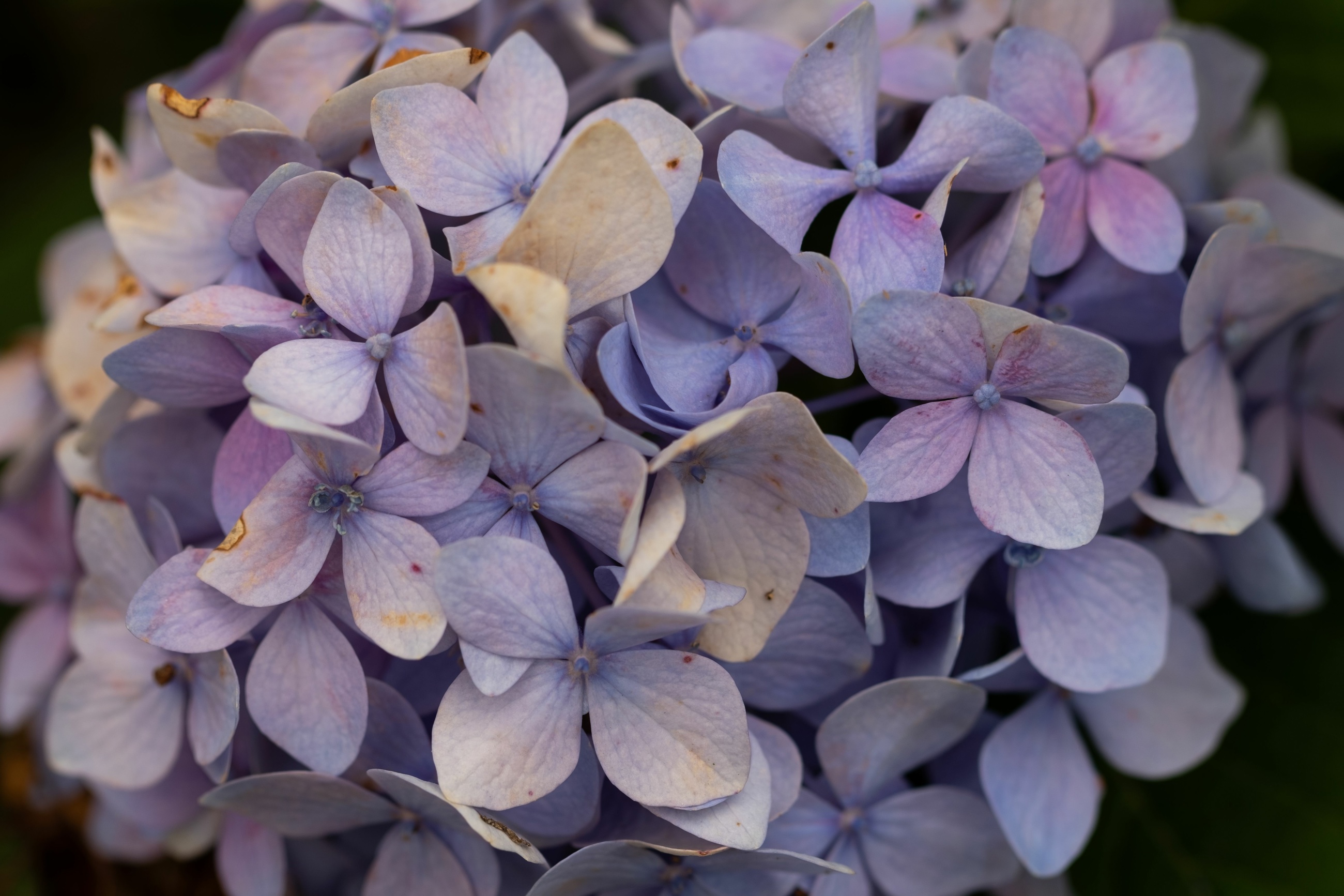 Adobestock 528964490