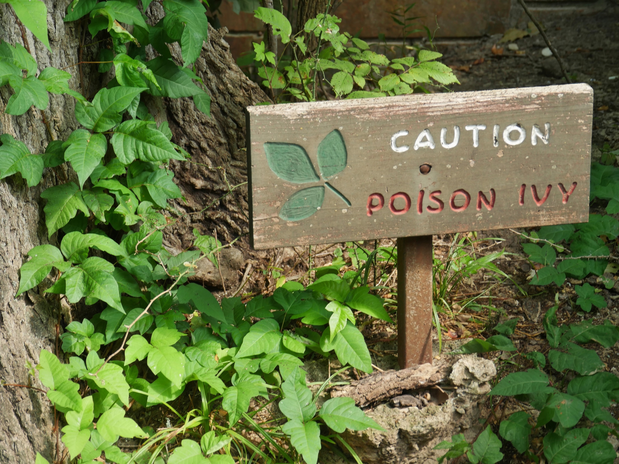 Poison Ivy Sign