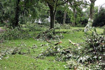 Storm Damage