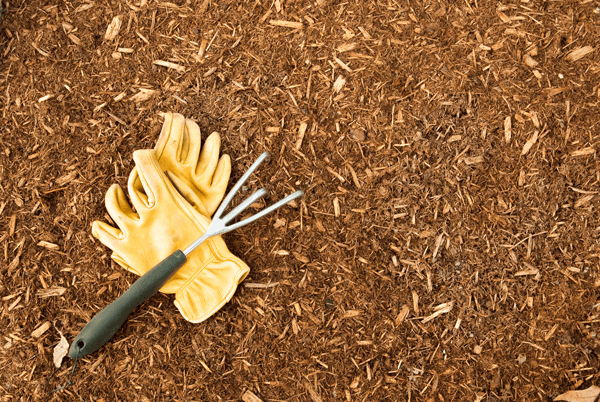 Mulch That Repels Bugs