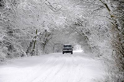 Car Driving Through Snowy Forest